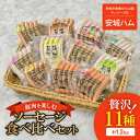 【ふるさと納税】「贅沢11種類」ソーセージ食べ比べセット 11種 計1.2kg (豚肉を楽しむ) 安城ハム【配送不可地域：離島】【1443881】