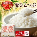 【ふるさと納税】令和5年産 愛知県産 ブランド米 愛ひとつぶ 5kg×2袋　計10kg　パールライス 安城工場精米【1469107】