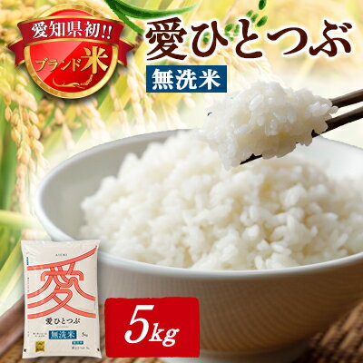 令和5年産 愛知県産 ブランド米 無洗米 愛ひとつぶ 5kg パールライス 安城工場精米