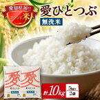 【ふるさと納税】令和5年産愛知県産 ブランド米 無洗米愛ひとつぶ 5kg×2袋計10kg　パールライス 安城工場精米【1469578】