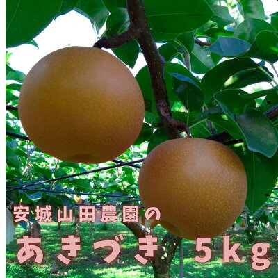 あきづき 5kg 大玉サイズ8～11玉入り【配送不可地域：離島】【1528762】