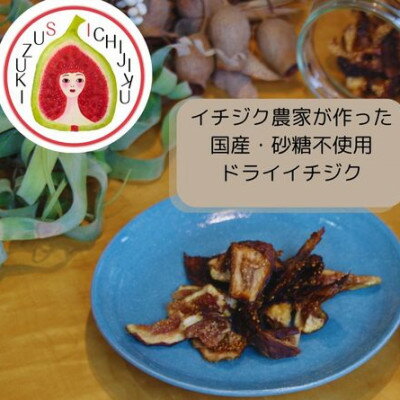 【ふるさと納税】愛知県産 ドライイチジク【1671575】