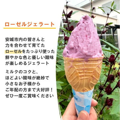 愛知県安城市の画像3