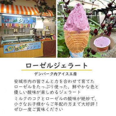 �ڤդ뤵��Ǽ�ǡۥǥ�ѡ��������2��+�������른���顼�Ȱ�����2��+�ޥ����å׳��դ��θ���1��/���θ��¾�ԡ�1686740��