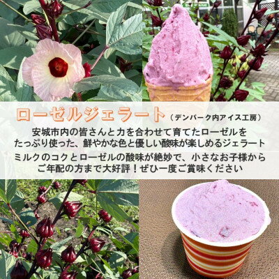 愛知県安城市の画像3