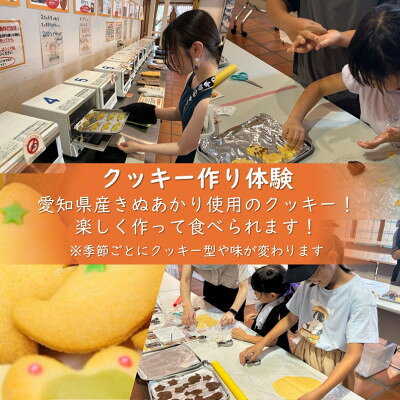 【ふるさと納税】デンパーク入園券2枚+ローゼルジェラート引換券2枚+クッキー作り体験券1枚/愛知県安城市【1686742】 f232122-anjo-10000614 愛知県安城市 サンプル画像2