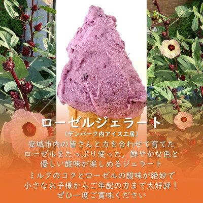 【ふるさと納税】デンパーク入園券2枚+ローゼルジェラート引換券2枚+クッキー作り体験券1枚/愛知県安城市【1686742】 f232122-anjo-10000614 愛知県安城市 サンプル画像3