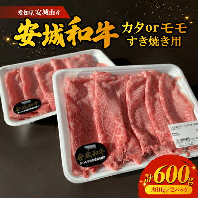 【2025年2月上旬発送】愛知県安城市産 安城和牛 カタまたはモモすき焼き用 300g×2パック【配送不可地域：離島】【6721379】