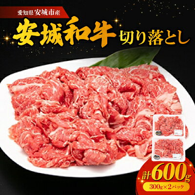 【2025年2月下旬発送】愛知県安城市産 安城和牛 切り落とし 300g×2パック【配送不可地域：離島】【6721411】