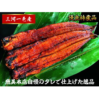 【2025年2月中旬発送】三河一色産 うなぎ蒲焼 2尾 【配送不可地域：離島】【6725475】