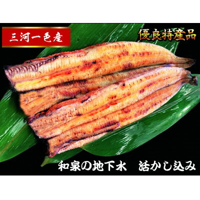 【2025年3月中旬発送】三河一色産 うなぎ白焼き 2尾【配送不可地域：離島】【6725508】
