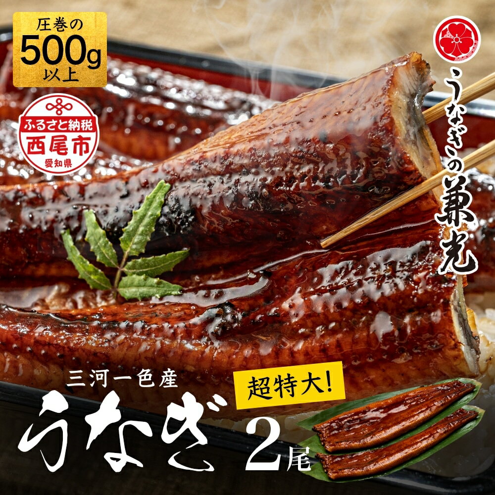 【ふるさと納税】三河一色産 うなぎ蒲焼【超特大サイズ2尾（計