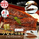【ふるさと納税】\ 土用 丑の日 /うなぎ 西尾 三河産うなぎ「蒲焼冷凍×2尾」(合計300g)+鰻肝2本付・A114-18【冷凍便】うなぎ 国産 三河産 西尾...