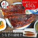 【ふるさと納税】\ 土用 丑の日 /うなぎ 西尾 おばけサイズ 蒲焼 2尾(合計450g〜460g)A126-20【冷凍便】うなぎ 国産 三河産 愛知県 西尾市...