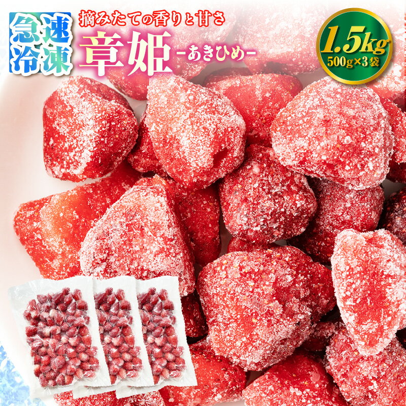 至福の凍果 章姫(あきひめ)[500g×3袋]1.5kg 冷凍いちご 新鮮なまま急速冷凍 真空パック フルーツ フローズンストロベリー 国産苺 朝採れ 苺 果物 保存料や着色料は一切不使用 クール便 送料無料