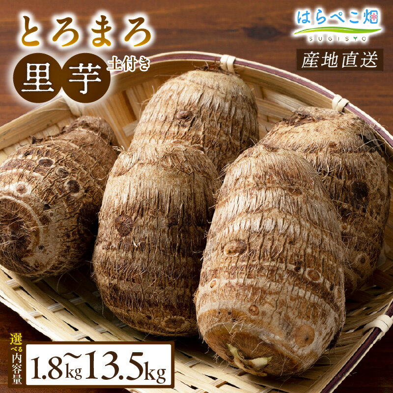 楽天市場】自然 栽培 里芋の通販