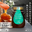 【ふるさと納税】マヌカハニー MGO550+ 500g インカナム マヌカハニー 高級 純粋活性マヌカハニー レプトスペルマム系はちみつ ニュージーランド産 マ...