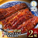 【ふるさと納税】一色産めすうなぎ無頭長蒲焼2尾(300g)・I059-19-1 一色産めすうなぎ 一色産うなぎ 蒲焼 長蒲焼 長蒲焼 鰻 鰻の蒲焼 めすうなぎの...
