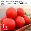 28位! 口コミ数「2件」評価「4」M005-13.フルーツトマト『みらい』/減農薬 とまと 野菜 国産 食品 愛知県産 愛知県西尾産 期間限定 冷蔵便【発送期間：2024年1･･･ 