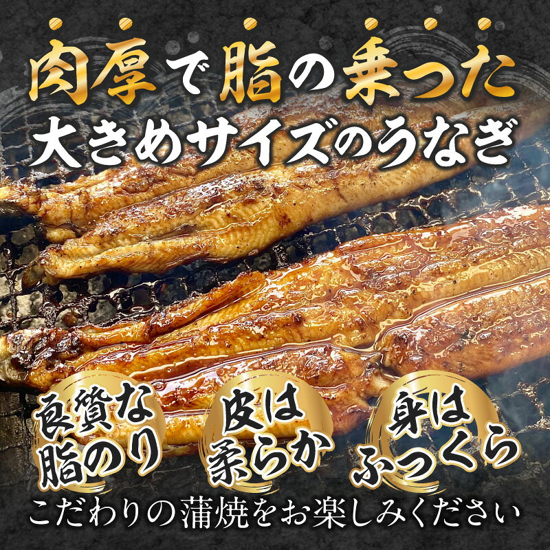 【ふるさと納税】三河一色産手焼きうなぎの蒲焼と肝焼【蒲焼パック冷凍×3尾、肝焼×3個】・M099 三河一色産 うなぎ 鰻の蒲焼き 蒲焼 鰻の肝焼き 肝焼き 山椒付き 大きめ 特産品 ブランド お惣菜 レトルト グルメ イベント 愛知県 西尾市 送料無料