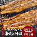 【ふるさと納税】三河一色産手焼きうなぎの蒲焼と肝焼【蒲焼パック冷凍×3尾、肝焼×3個】・M099 三河一色産 うなぎ 鰻の蒲焼き 蒲焼 鰻の肝焼き 肝焼き 山椒...