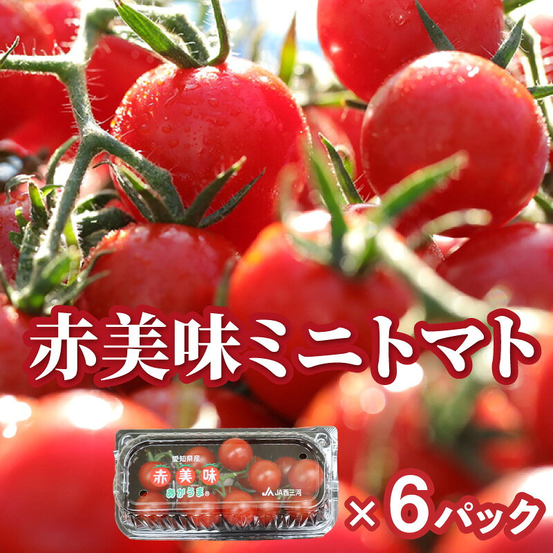 【ふるさと納税】赤美味 ミニトマト 6パック【1パックあたり180g】期間限定！ トマト 完熟 野菜 濃い プチトマト 甘い 夏野菜 人気返礼品 小分けパック あかうま 送料無料 N080