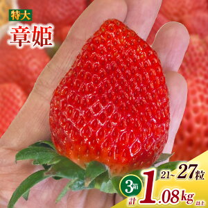 【ふるさと納税】特大いちご (章姫) 360g以上 (7〜9粒) ×3箱 O045-29【発送期間:2025年12月1日~2026年3月31日までに発送予定】【冷蔵便】/ 果物 フルーツ 愛知県産 西尾産 国産 イチゴ いちご 苺 食品 章姫いちご 大きい 大粒 特大 3箱 あきひめ MB