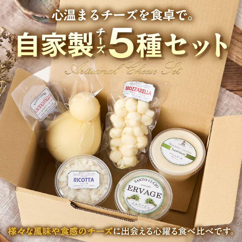 【ふるさと納税】《国産》サントルチオの手づくりチーズ 5種食べ比べセット《カチオカヴァッロ(カチョカバロ)・リコッタ・編みモッツァレラ・エルヴァジュ・クリームチーズ》フレッシュチーズ 熟成チーズ チーズ セット 詰め合わせ 愛知県 西尾市 送料無料 S104