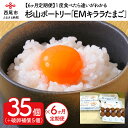 1位! 口コミ数「5件」評価「4.2」卵 定期便 杉山ポートリー「EMキララたまご」【6か月定期便】 たまご S018-66 / 生卵 鶏卵 愛知県産 西尾市産 若鶏 玉子 食品･･･ 