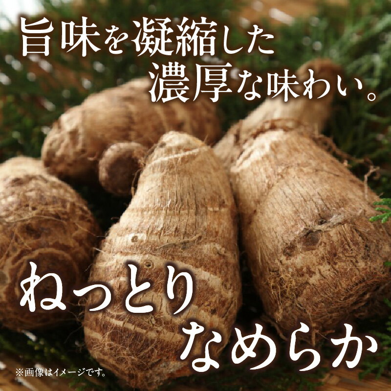 【ふるさと納税】《容量が選べる》絶品里芋 ～天晴れ～ 4kg～6kg ・S067-SKU 里芋 芋 野菜 農作物 農産物 青果 料理 材料 和食 煮物 おでん 惣菜 里芋の煮っころがし 筑前煮 特産品 特産 お取り寄せ グルメ おすそ分け 普段使い 贈り物 愛知県 西尾市