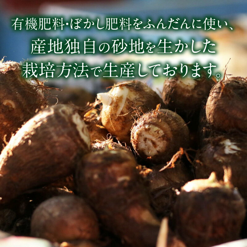 【ふるさと納税】《容量が選べる》絶品里芋 ～天晴れ～ 4kg～6kg ・S067-SKU 里芋 芋 野菜 農作物 農産物 青果 料理 材料 和食 煮物 おでん 惣菜 里芋の煮っころがし 筑前煮 特産品 特産 お取り寄せ グルメ おすそ分け 普段使い 贈り物 愛知県 西尾市