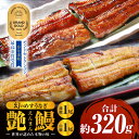 【ふるさと納税】三河一色産 幻のめすうなぎ艶鰻 蒲焼白焼セット・T115 うなぎ 鰻の蒲焼 鰻の白焼 蒲焼 白焼 うなぎ蒲焼き うなぎ白焼き セット 詰め合わせ...