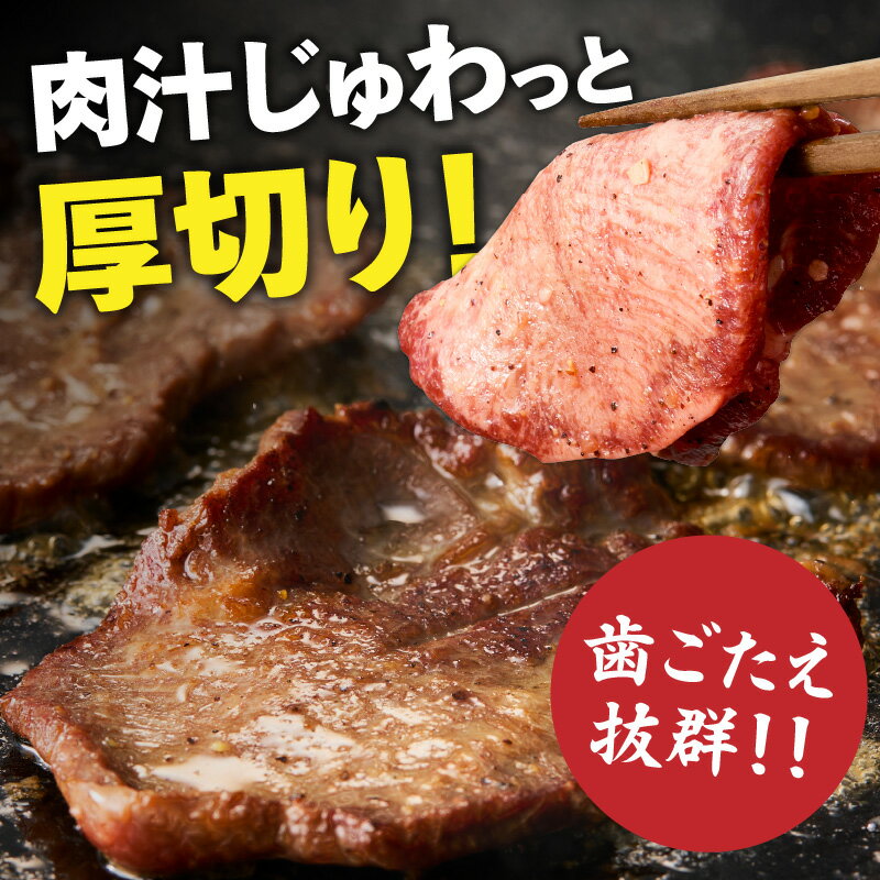 【ふるさと納税】肉屋が作る極み味付厚切り牛タン600g（200g×3パック）・T131 牛タン 厚切り 冷凍 焼肉 ギフト プレゼント お取り寄せ 人気 おすすめ 贈答 愛知県 西尾市 送料無料