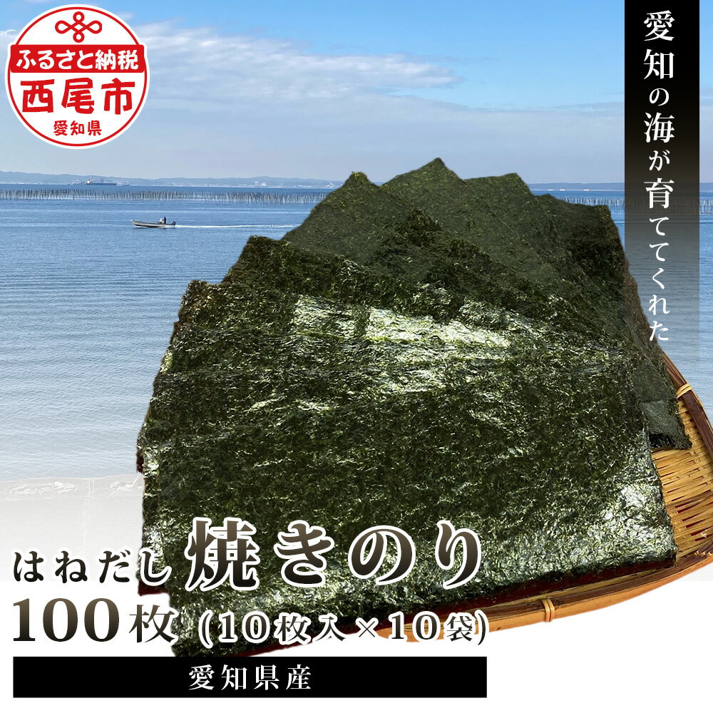 【ふるさと納税】愛知の海が育ててくれた　はねだし焼きのり　100枚　M067-13　/国産 愛知県産 海苔 乾物 海の幸 の…