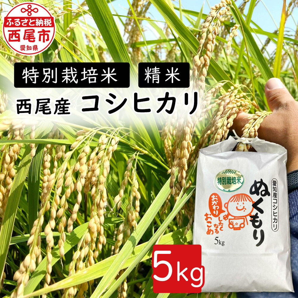 【ふるさと納税】令和4年産 新米 特別栽培米西尾産コシヒカリぬくもり 5kg×1袋 ...