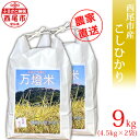 人気ランキング第29位「愛知県西尾市」口コミ数「0件」評価「0」令和5年産 ＜万燈米＞【こしひかり 4.5kg×2袋 】I027-13 有機肥料100% 国産米 ライス 国内産 日本産 愛知県産 西尾市産 発送前に精米 白米 MB