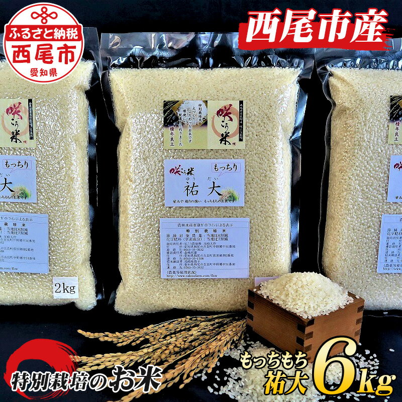 令和5年産 咲こう農場限定のお米 もっちもち「祐大」6kg K043-13 /国産米 ライス 国内産 日本産 愛知県産 MB