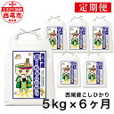 3位! 口コミ数「0件」評価「0」【定期便】令和5年産 西尾産お米（こしひかり5kg×6ヶ月）K201-66 / 月に一度配送 6回配送 合計30キロ 国産米 国内産 日本産･･･ 