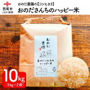 人気ランキング第24位「愛知県西尾市」口コミ数「0件」評価「0」令和5年産 ＜特別栽培米＞＜おのださんちのハッピー米 コシヒカリ 白米5kg×2＞10キロ O017-18 国産米 国内産 日本産 愛知県産 白米