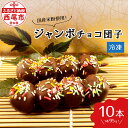 【ふるさと納税】ジャンボ チョコ団子 10本セット 【冷凍便】 F023-14 / お団子 チョコ チョコ団子 ビッグサイズ 大きい おやつ デザート スイーツ...