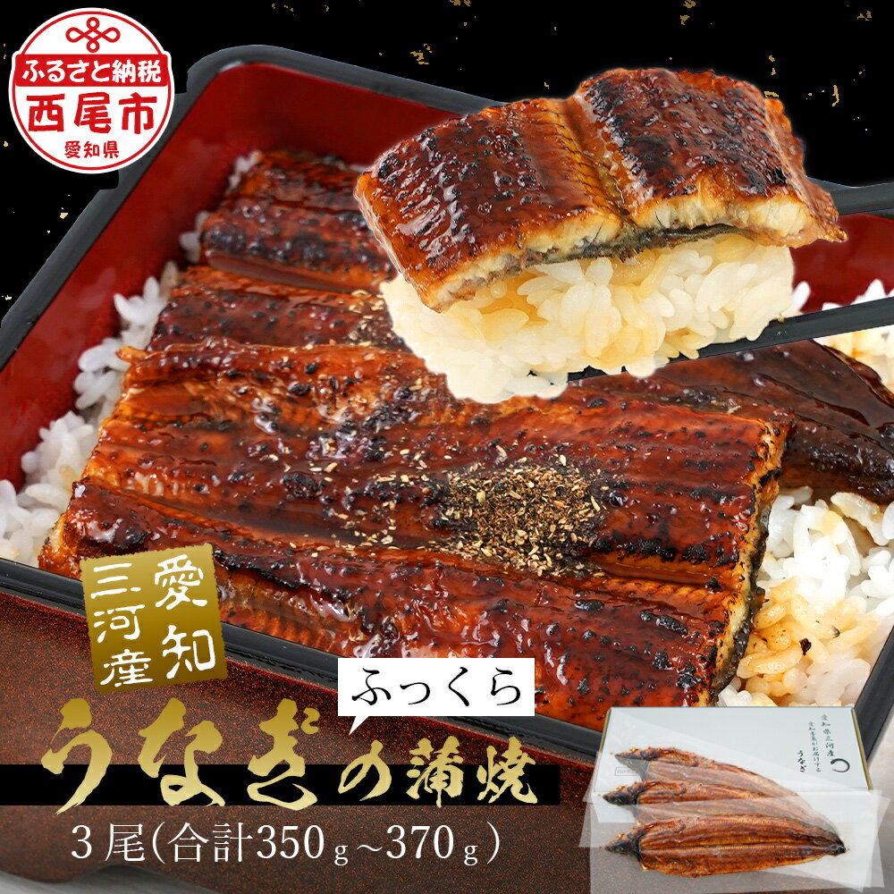 【ふるさと納税】うなぎ 西尾 国産 三河産 うなぎ 蒲焼 ×3尾（350g～370g）A084-20【冷凍便】うなぎ 国産 日本産 愛知県産 西尾市 愛知..