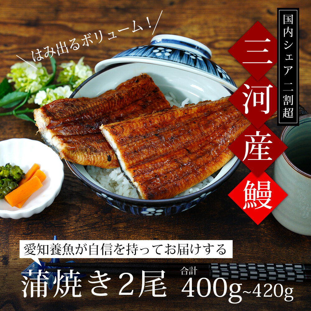 【ふるさと納税】うなぎ 三河産 超特大 うなぎ 蒲焼 2尾（2尾合計400～420g）A090-18【冷凍便】うなぎ 国産 三河産 日本産 愛知県産 鰻 蒲焼き 特大 タレ付き たれセット さんしょう 西尾市 食品 食べ物 おかず MB