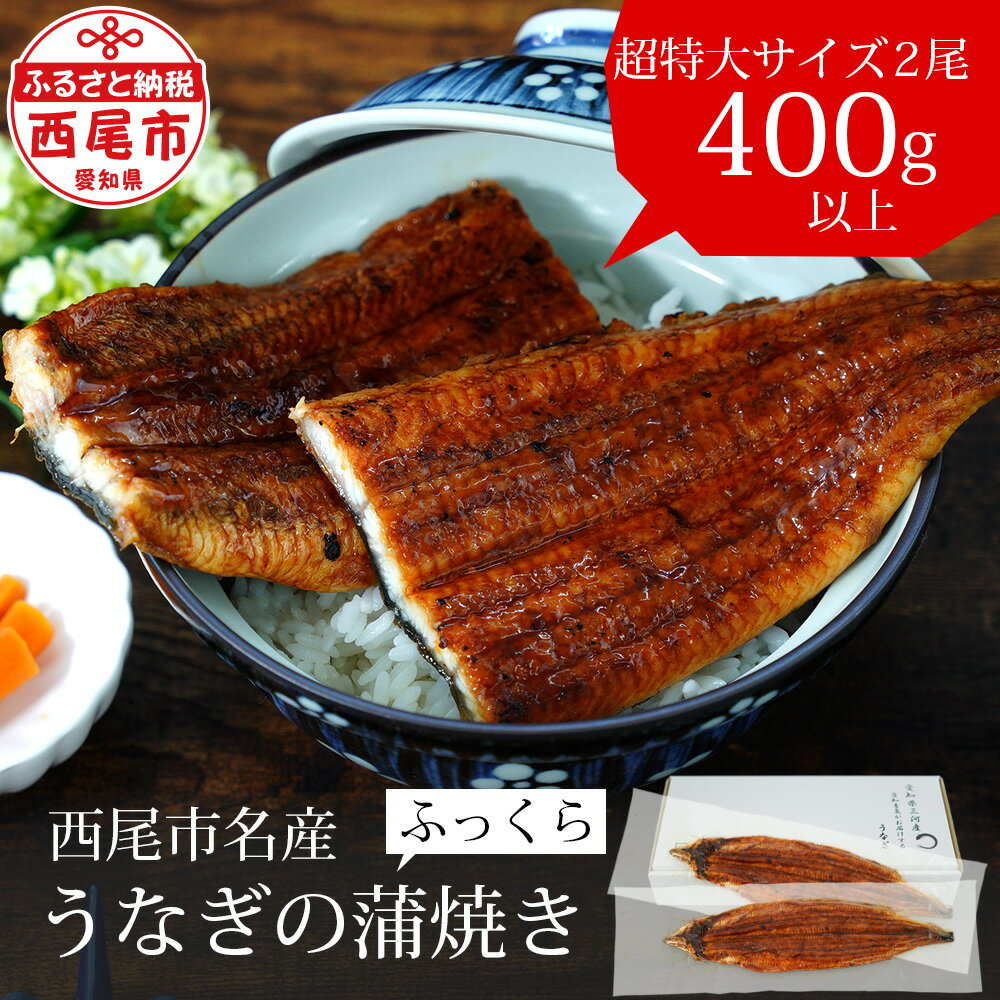 13位! 口コミ数「39件」評価「4.51」うなぎ 三河産 超特大 うなぎ 蒲焼 2尾（2尾合計400～420g）A090-18【冷凍便】うなぎ 国産 三河産 日本産 愛知県産 鰻 蒲･･･ 