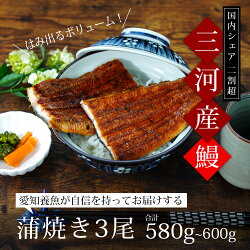 【ふるさと納税】「生産者愛知養魚」がお届けする三河産うなぎ「蒲焼冷凍＜超特大＞×3尾（合計580g～600g）」《7/10迄の決済完了で土用の丑の日に間に合う》A091-21 / 2週間前後でお届け！【冷凍便】国産 愛知県産 鰻 ウナギ タレ付き たれセット 土用の丑の日 MB･･･ 画像2