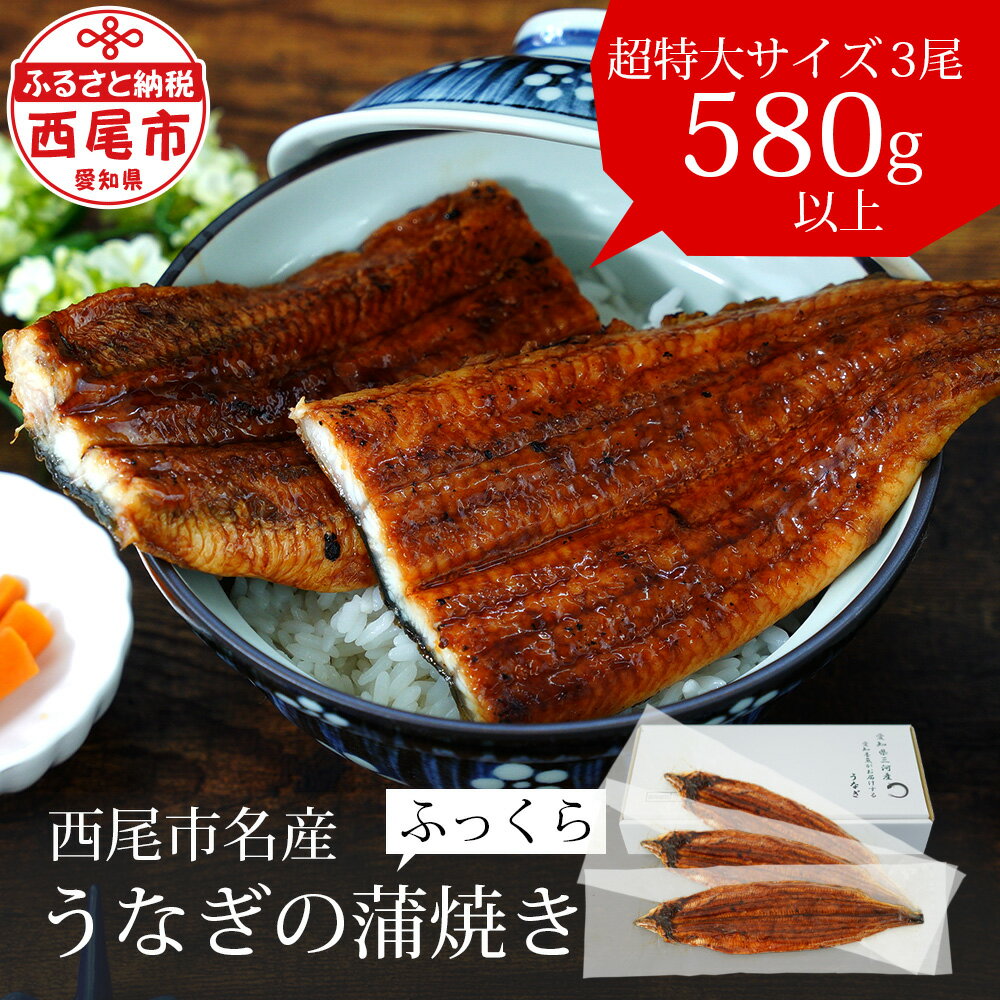 うなぎ 西尾 三河産 蒲焼 超特大 3尾(合計580g〜600g)A091-25[冷凍便]うなぎ 国産 三河産 愛知県産 西尾市 鰻 蒲焼き ウナギ タレ付き たれセット 山椒 土用の丑の日 惣菜 食品 うな丼 MB