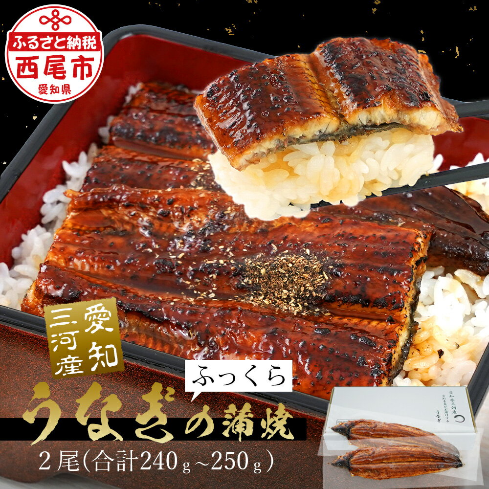 【ふるさと納税】うなぎ 国産 西尾 三河産 三河産うなぎ 蒲焼2尾 (合計240g～250g) A092-14【冷凍便】うなぎ 国産 三河産 日本産 愛知県産 西尾市 鰻 タレ付き たれセット さんしょう 土用の丑の日 食品 海鮮 魚介類 MB