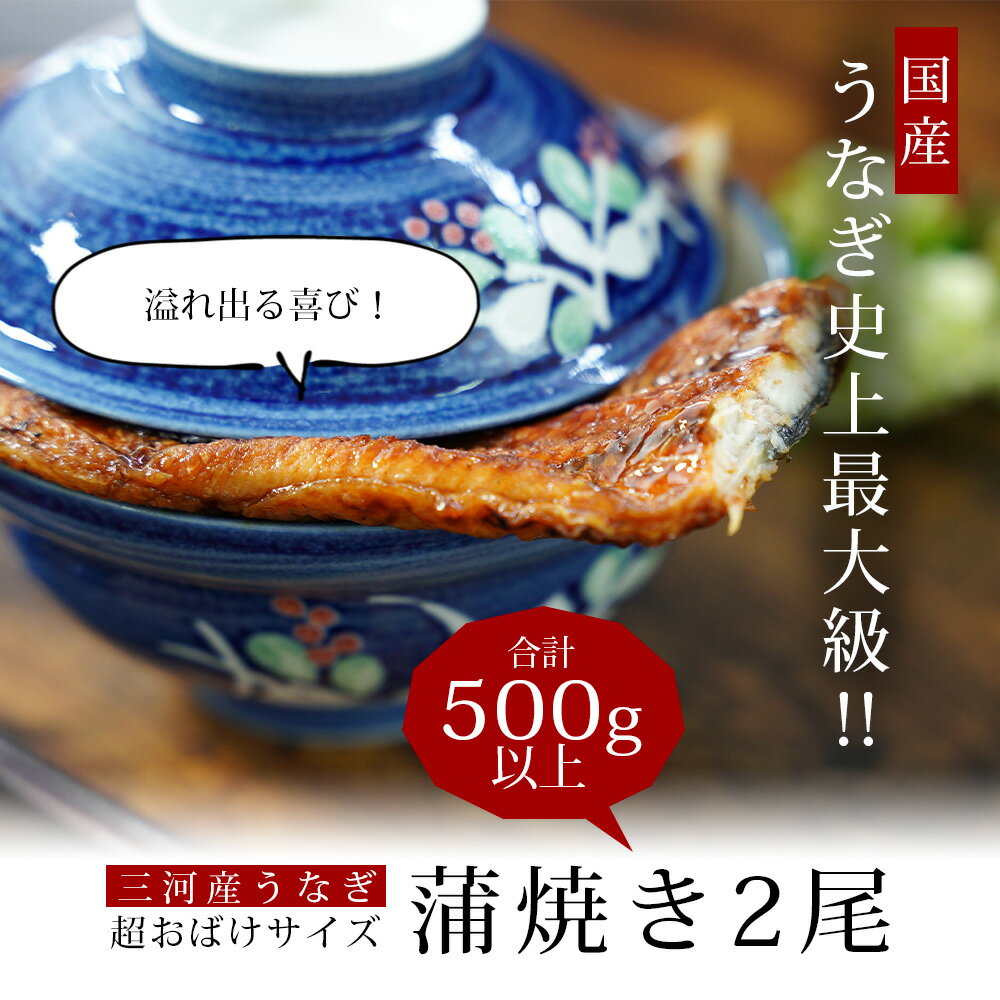 【ふるさと納税】うなぎ 西尾 三河産 「超おばけサイズ 蒲焼き2尾」（合計500g以上）A116-20【冷凍便】大きい うなぎ 国産 西尾 三河産 愛知県産 鰻 ウナギ タレ付き たれセット 特大以上 海鮮 食品 三河地方 MB