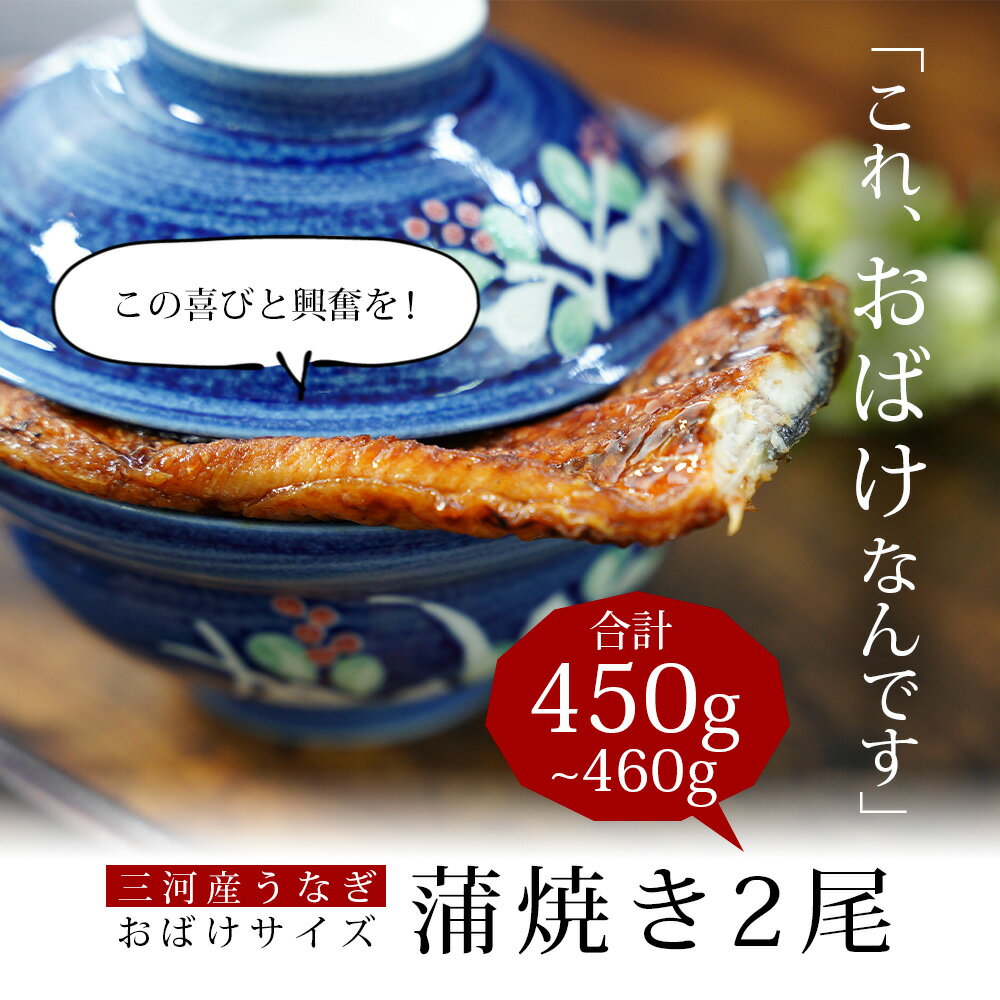 【ふるさと納税】うなぎ 西尾 おばけサイズ 蒲焼 2尾（合計450g～460g）A126-19【冷凍便】うなぎ 国産 三河産 愛知県 西尾市 鰻 蒲焼 蒲焼き ウナギ タレ付き たれセット さんしょう 特大以上 食品 おかず 高級食材 MB