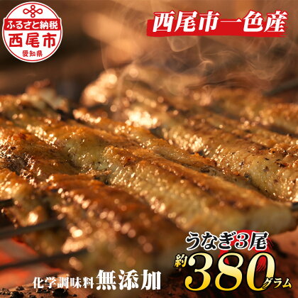 うなぎ 西尾 手焼き 三河一色産うなぎ蒲焼3尾（約380g）A130-22 【冷蔵便】 国産 三河産 無頭 三河一色産 愛知県産 鰻 タレ付き たれセット さんしょう 三河味醂使用のたれ MB