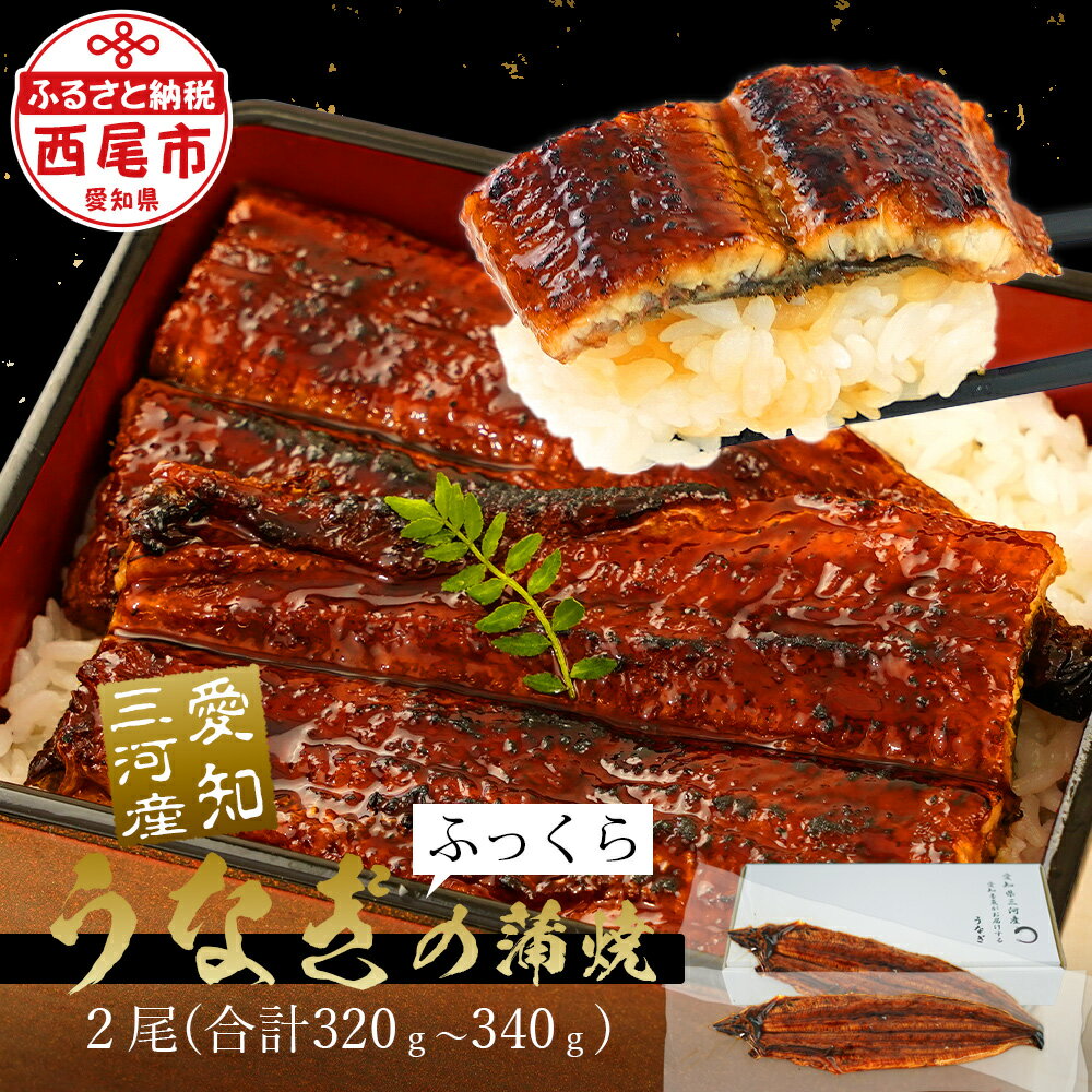 【ふるさと納税】うなぎ 西尾 三河産うなぎ 蒲焼き冷凍2尾 (320〜340g) A136-15【冷凍便】＜br＞国産 三河産 日本産 愛知県産 鰻 タレ付き たれセット さんしょう 西尾市 土用の丑の日 海鮮 魚介類 食品MBのサムネイル